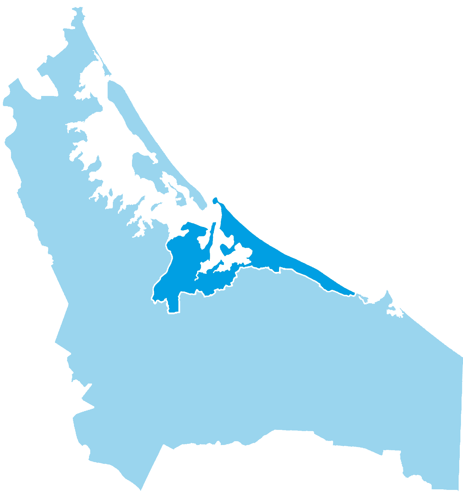 Ward and Community Board Boundaries